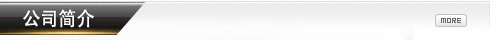 公司简介